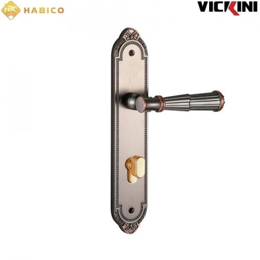 Khóa cửa tay gạt Vickini 35103.101 GYM-AC