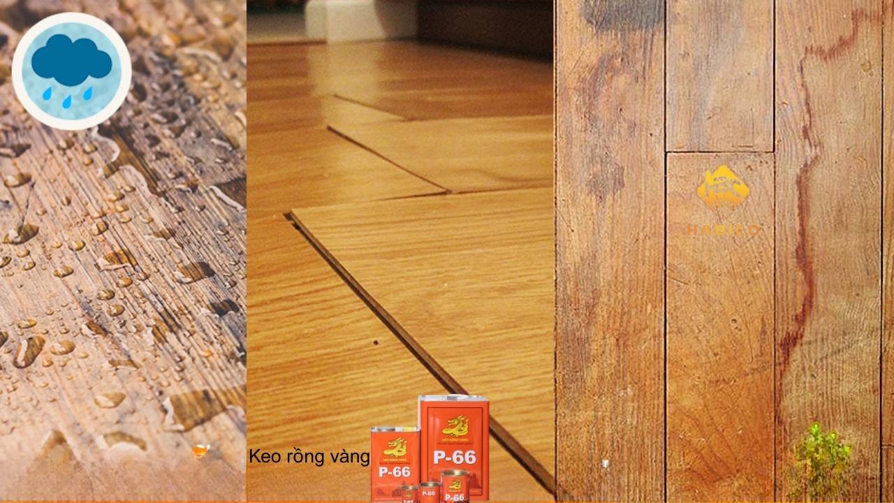Keo Rồng Vàng Dán Sàn Gỗ Keo Rồng Vàng Dán Sàn Gỗ