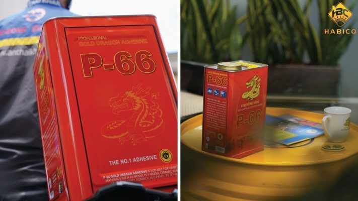 Keo Rồng Vàng P66 là gì