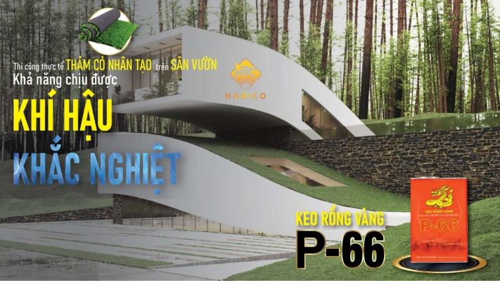 Ứng dụng keo Rồng Vàng trong thi công cảnh quan và sân vườn