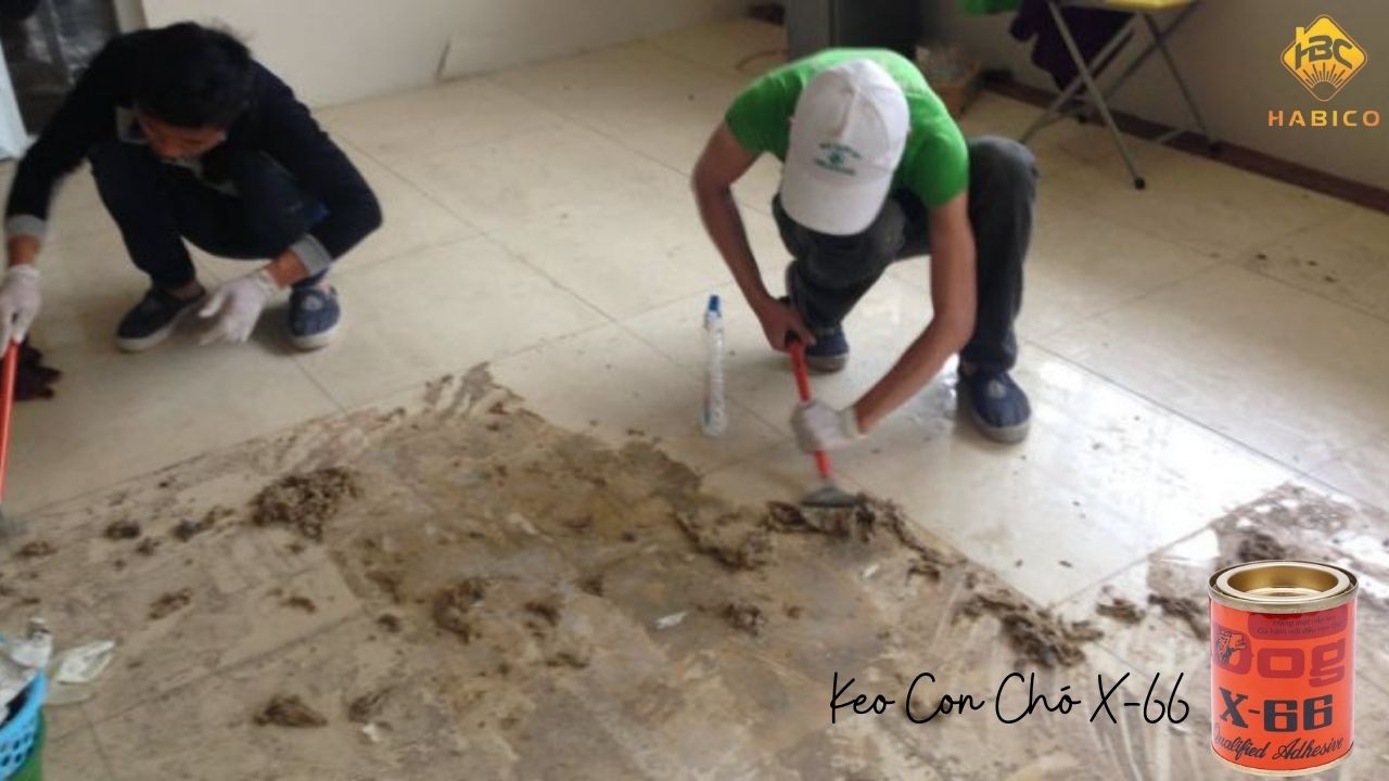Vì sao keo con chó khó tẩy