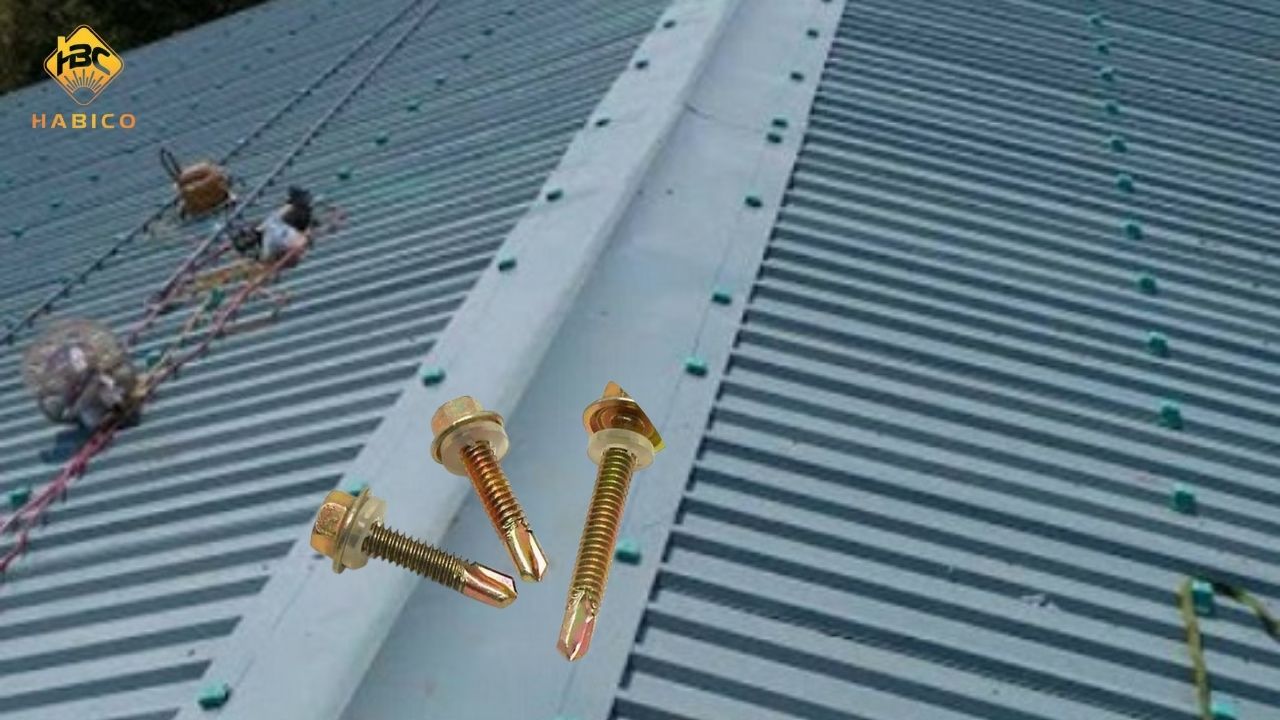 Vít bắn tôn là gì Vít bắn tôn là gì